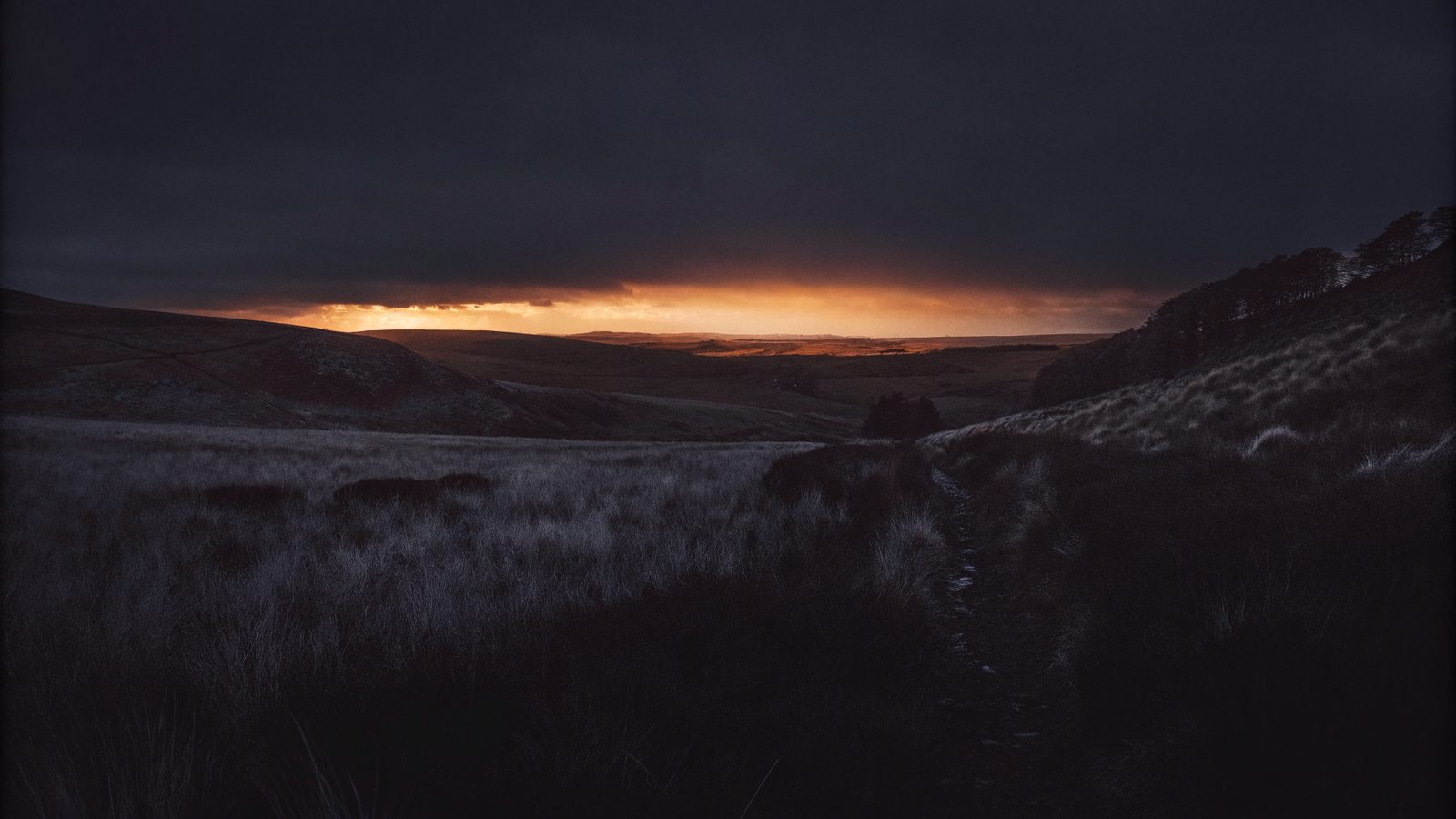 Northumberland moor at dusk
